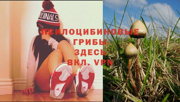 a pvp Абдулино